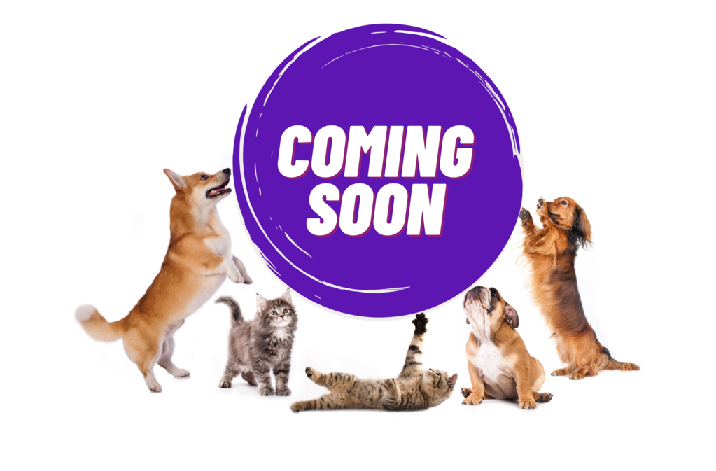 comingsoon