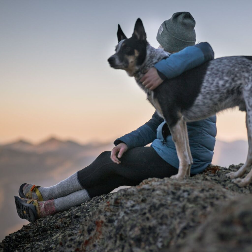 photo of person holding black and white dog