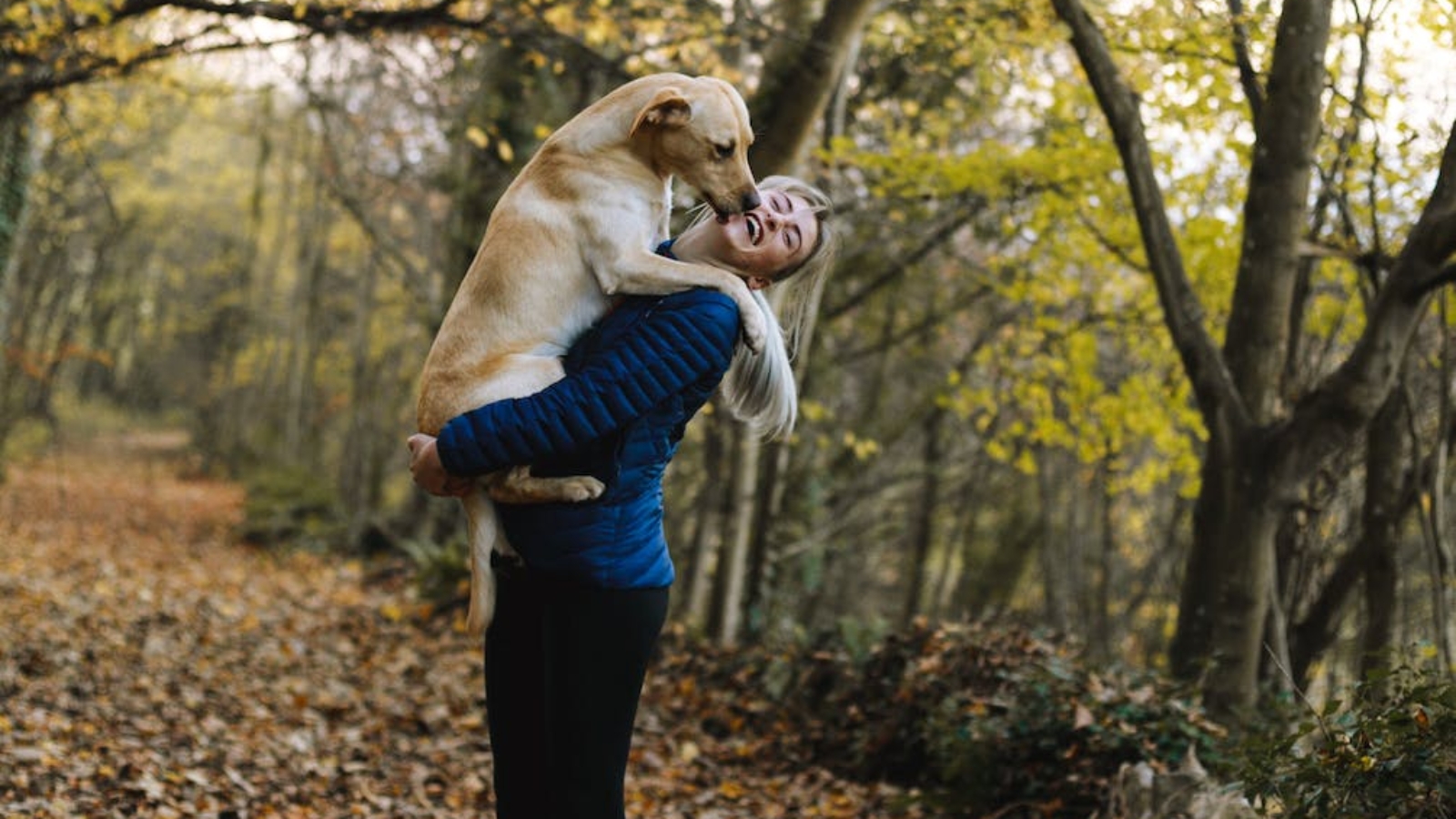 woman carrying dog while standing in the middle of the forest