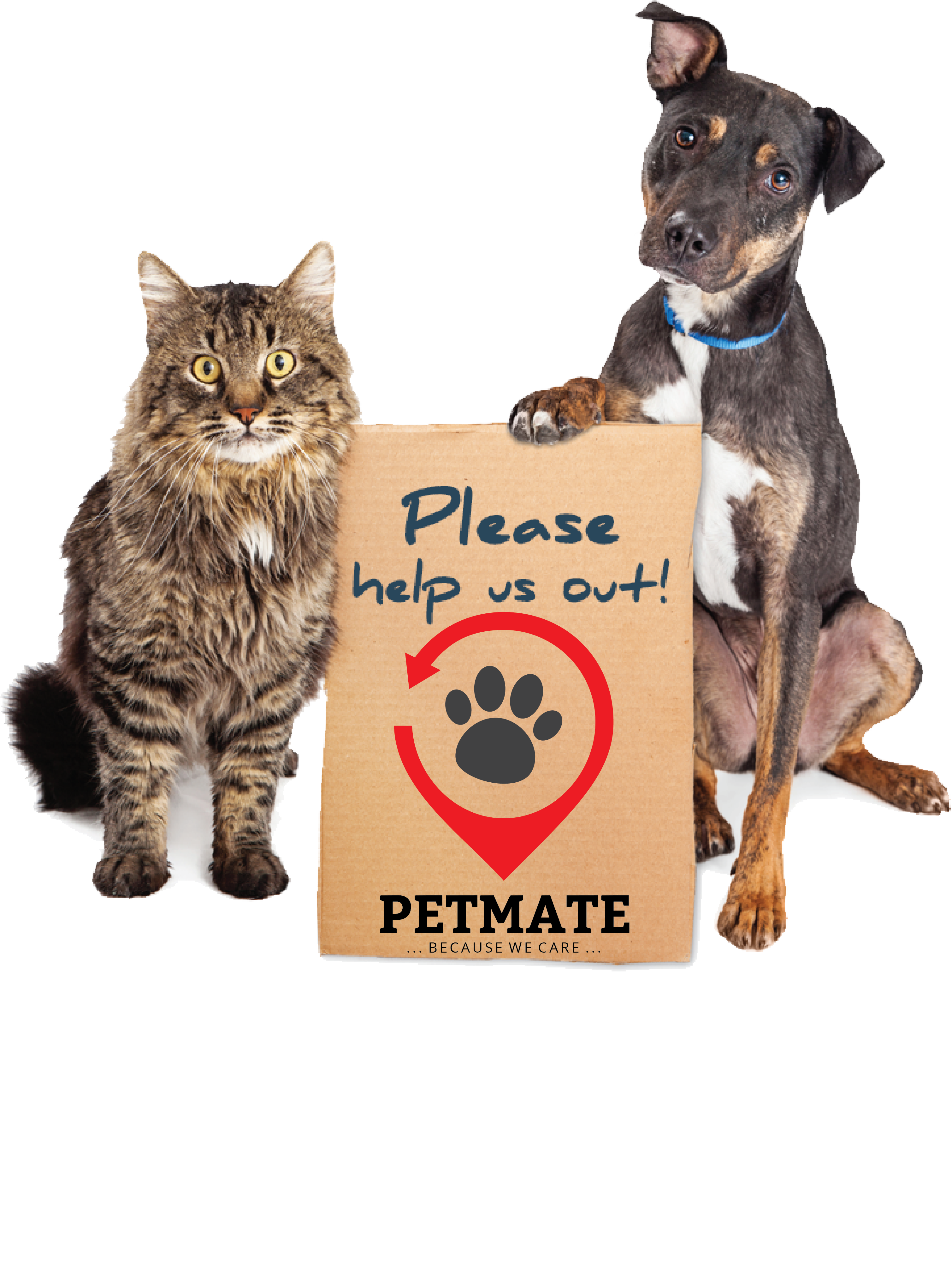 lost-found-petmate